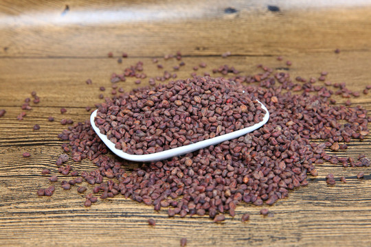 稻谷种子 从田野到餐桌的农作物生命之源