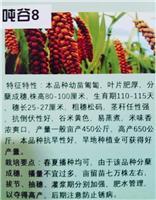 尚志市化工产业集聚区周边农作物的种子选择与生态考量
